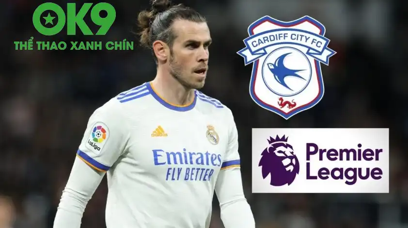 Bale khẳng định ước mơ của anh là giúp Cardiff trở lại Ngoại hạng Anh